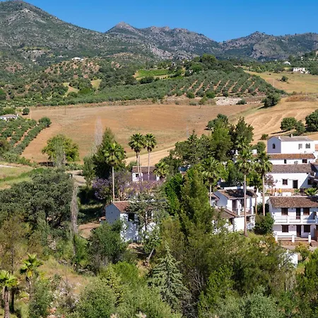 Malaga Sierra De Nieves By Real Spain Adults Recommended