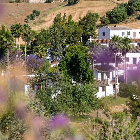 Malaga Sierra De Nieves By Real Spain Adults Recommended *
